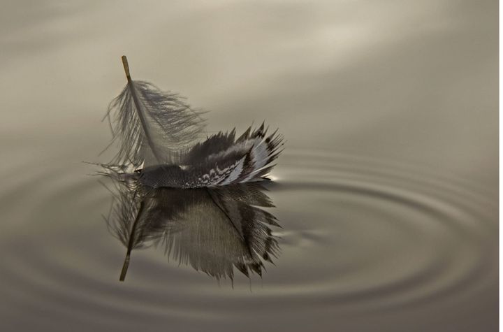 The Art of Creation: Light That Strays