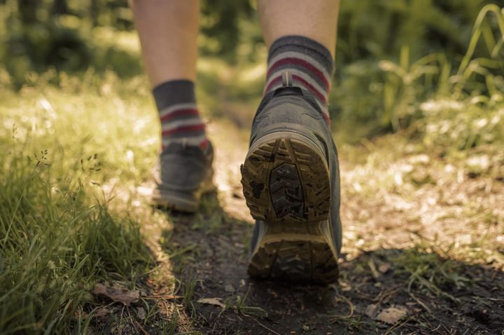 Practical Earthkeeping: Following Old Footsteps
