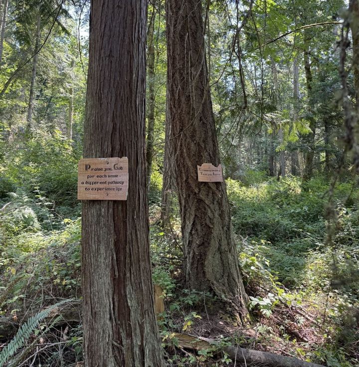Practical Earthkeeping: A Summer of Encounter