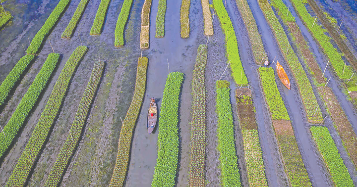 The Art of Creation: Afloat