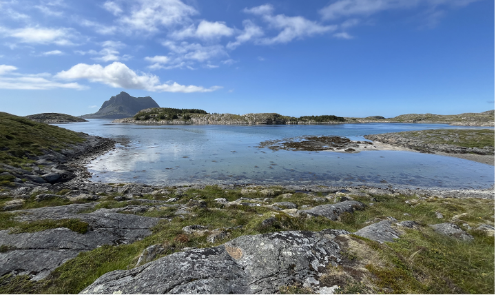 The Art of Creation: The Place of Tides