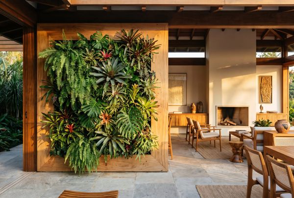 Jardim Vertical Madeira: Guia de Escolha e Aplicação 2026