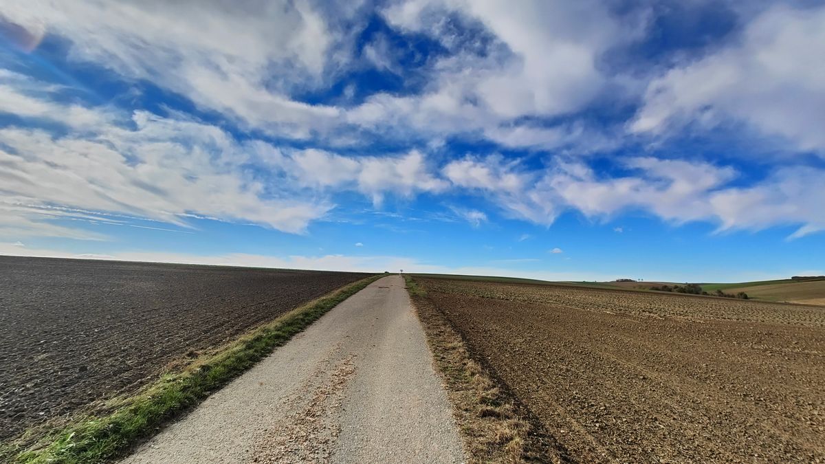 Content Week 45/2023