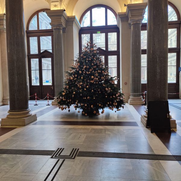 Content Week 52/2023