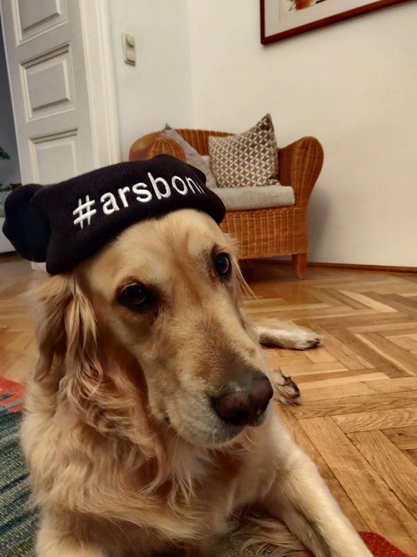 Content Week 50/2023