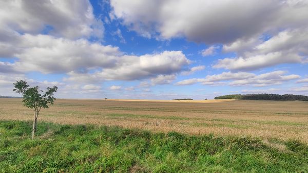 Vienna-Dresden By Bicycle. In September 2023.