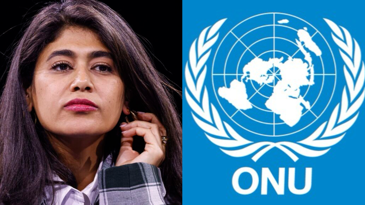 Rima Hassan : l’ONU met la France face à ses obligations en matière de libertés fondamentales