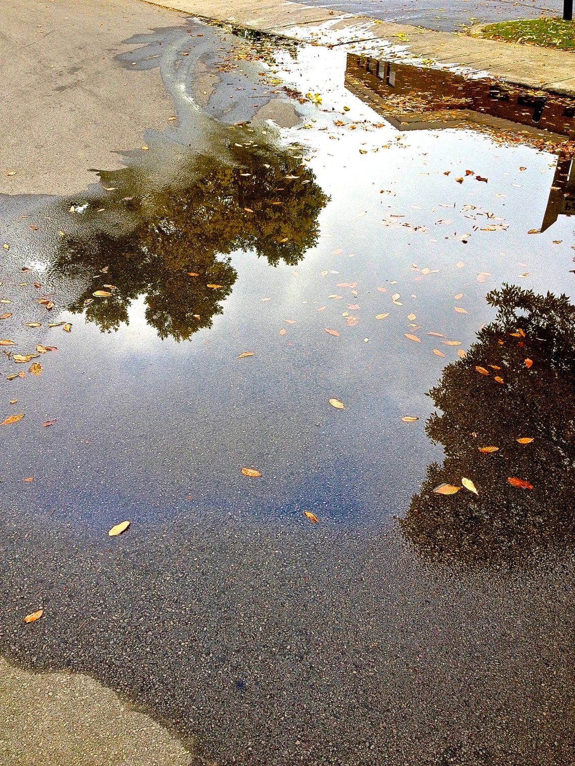 Falling in Love in the Rain