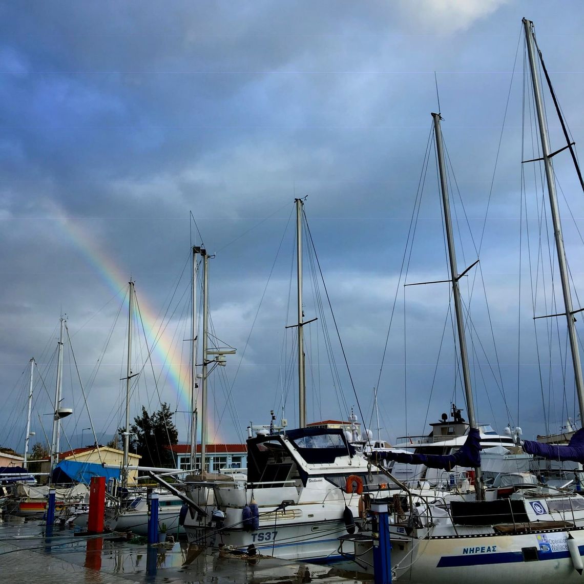 Love In Rainbows