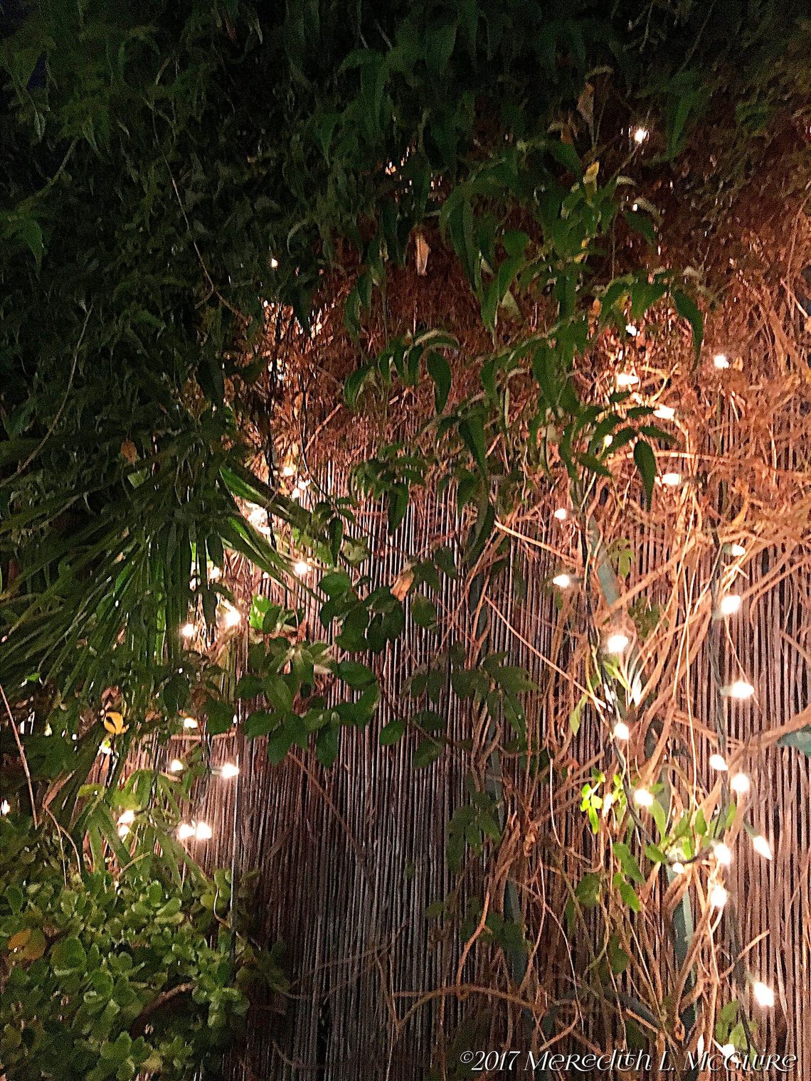 Fairy Doorway