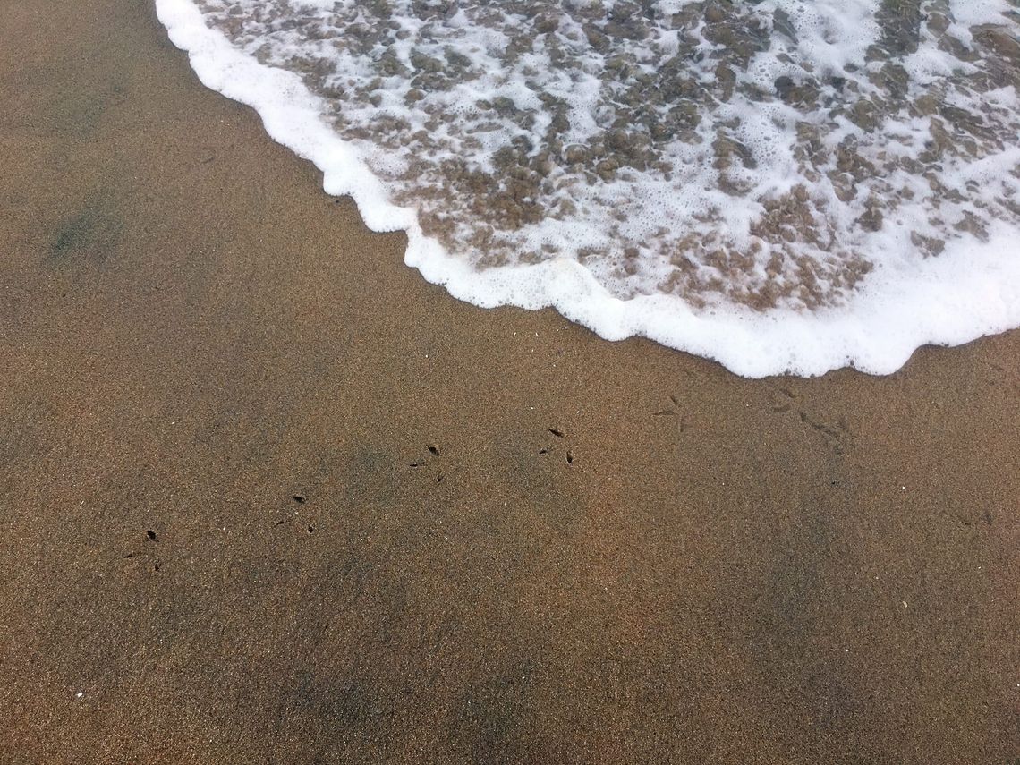The Sea