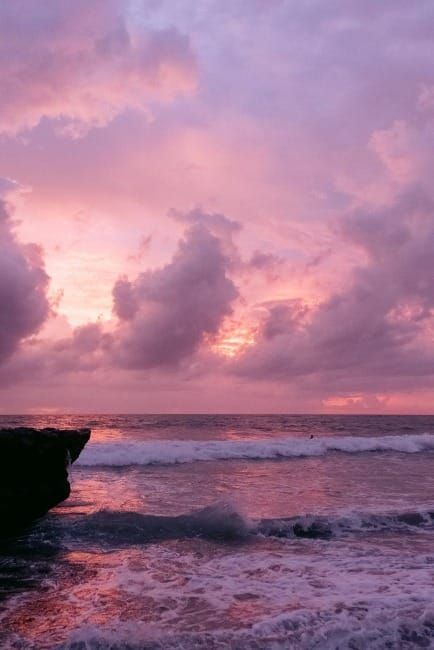 A Sonnet in Pink