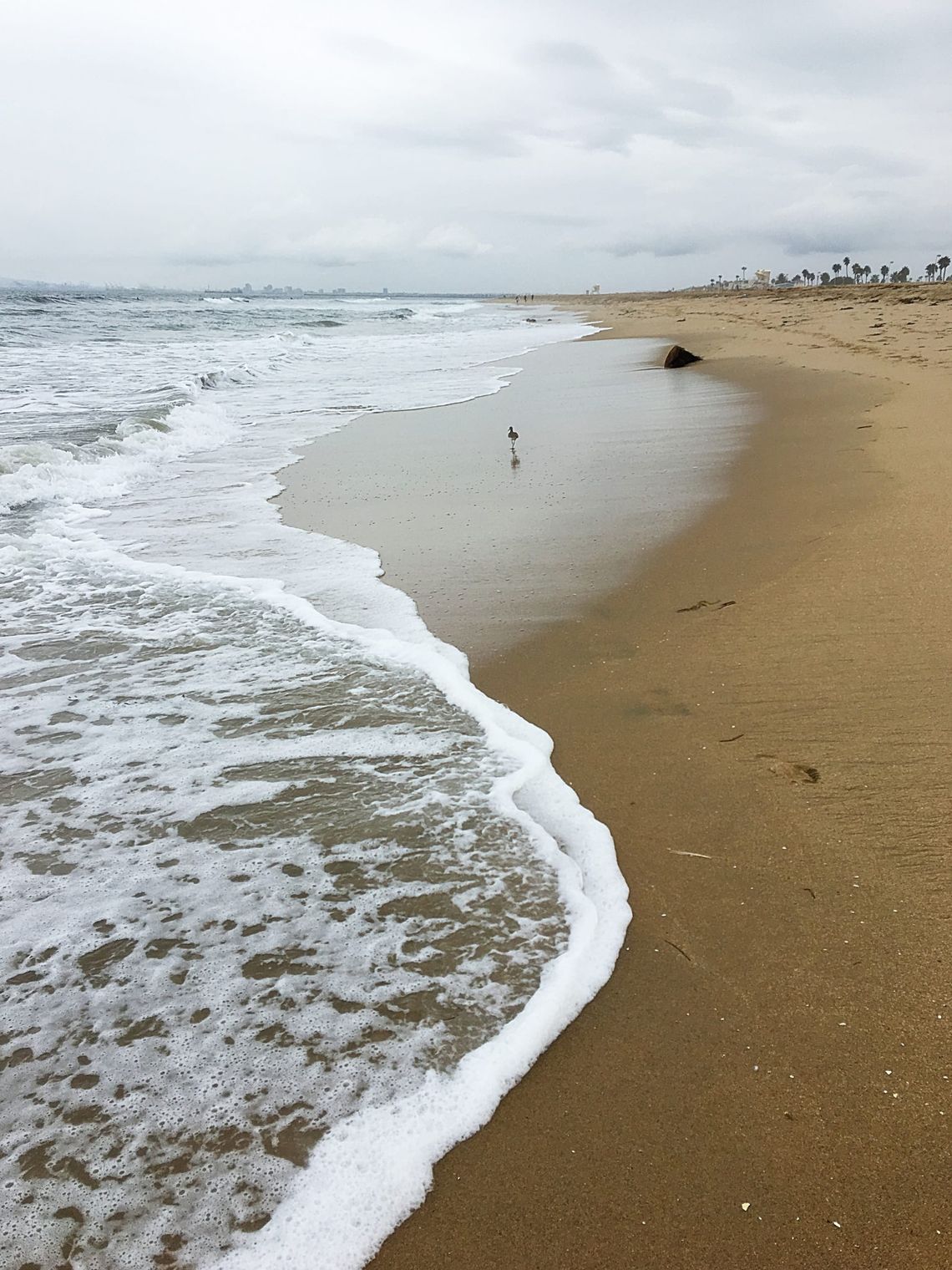 West Coast Waking