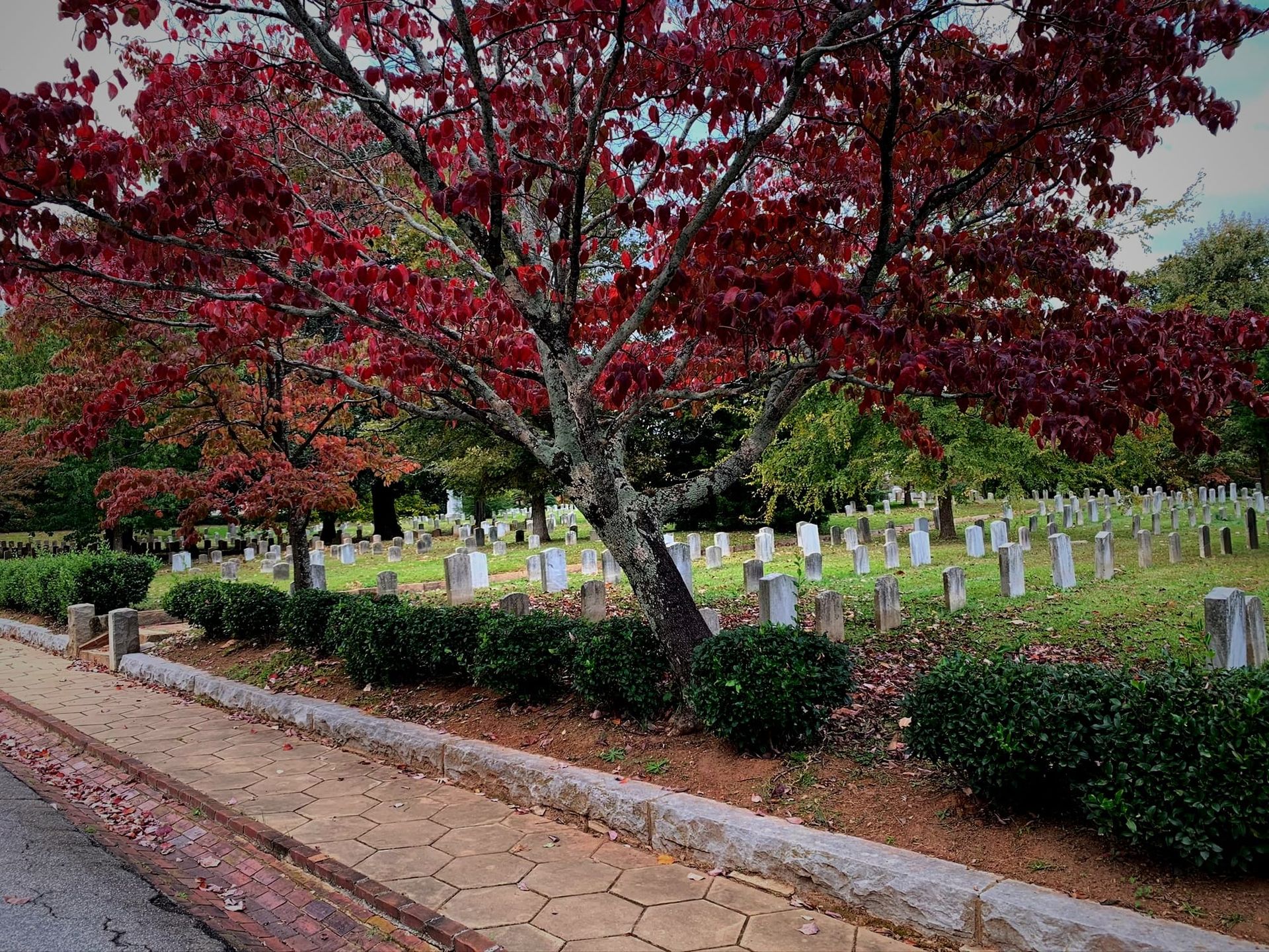 In the Fall