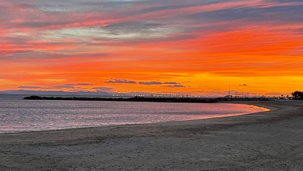 Dónde alojarse en Valencia según el barrio: guía completa