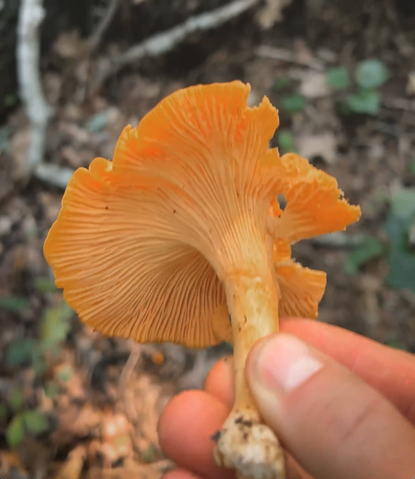 How to Have a Busy Clinic with Less New Patients