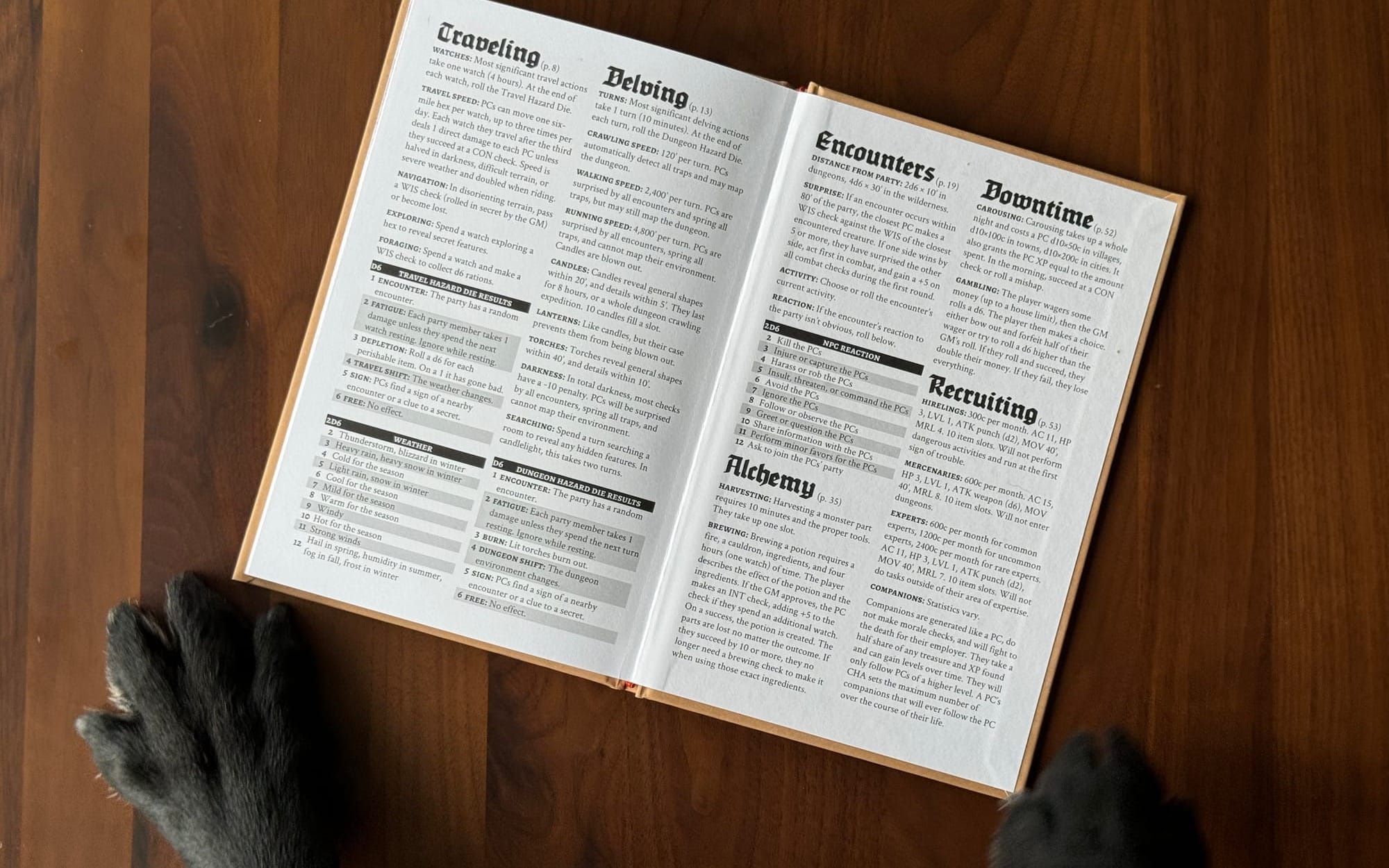 A top-down photo of the Knave 2E book with my dog's paws in place of my hands.