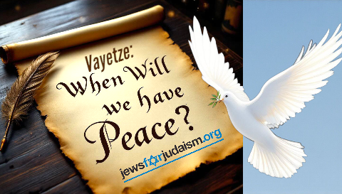 Can There Ever Be Peace?