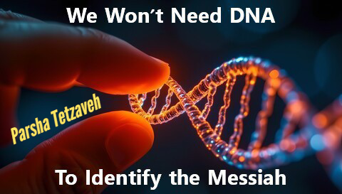 Geneology, 'Lost Records,' and the Messiah