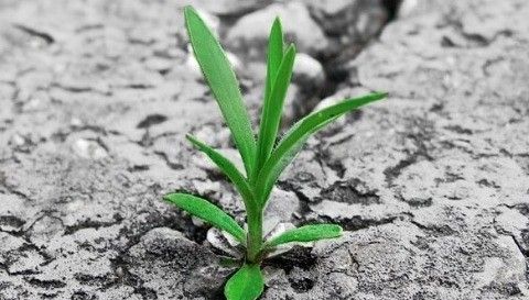Self Isolation is an Opportunity for Growth