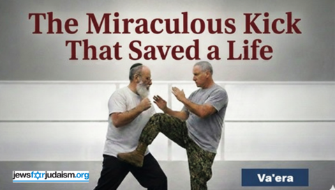 The Miraculous Kick That Saved A Life
