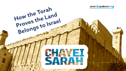 The Torah Proves the Land Belongs to Israel