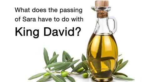 What Does Sara's Death Have To Do With King David?