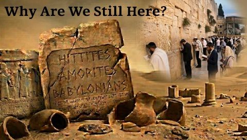 Why Are We Still Here?