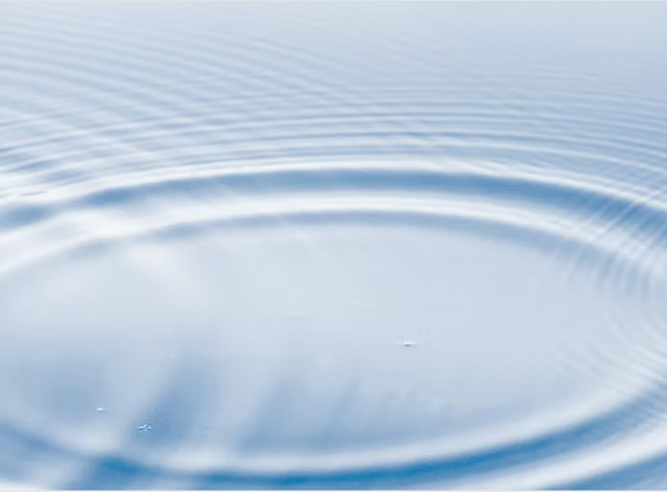 Women's Wellness Circle July 30, 2025: Evidence-Based Calm