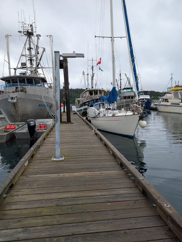The unexpected week in Alert Bay