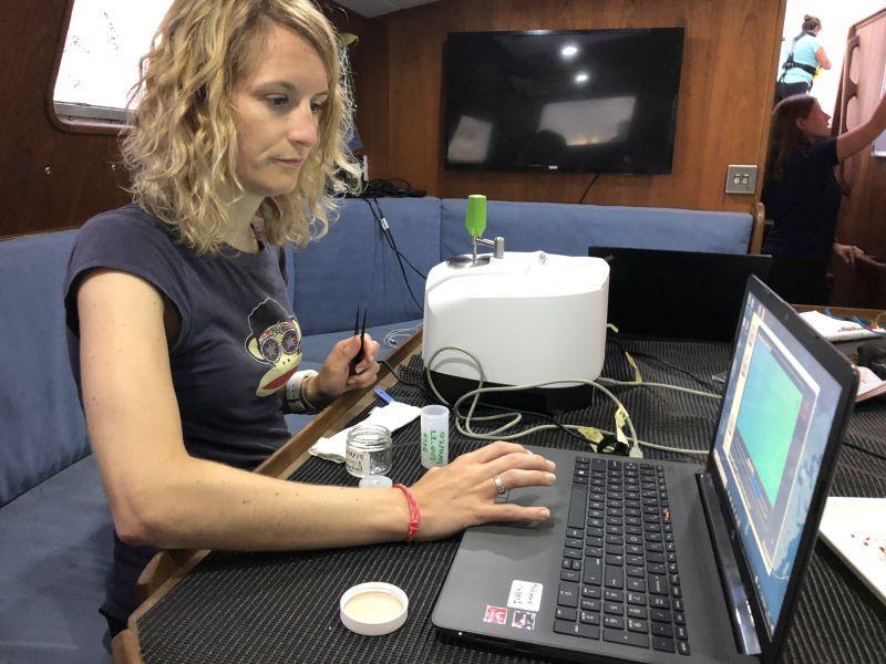 exxpedition05022102.jpg