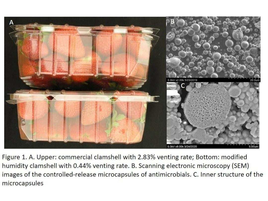 USDA-ARS Clamshell