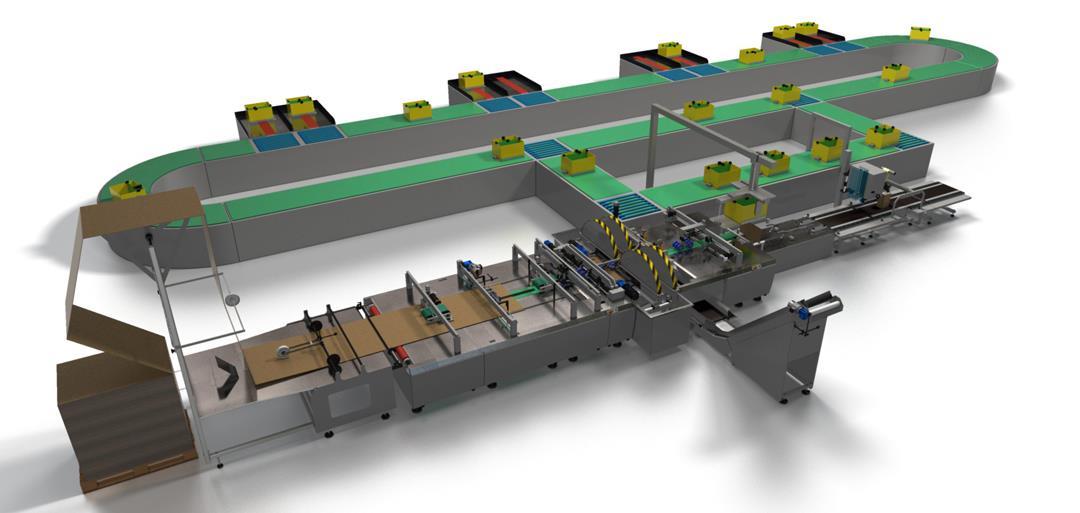 Cartonpack Carousel Conveyor resize.jpg