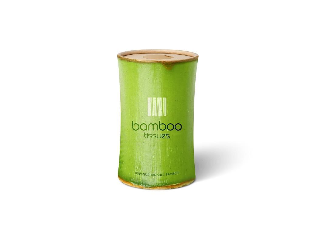 bamboo2_060819.jpg