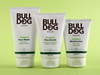 PE_Amcor_Bulldog