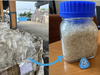 Prevented Ocean Plastic SA interview