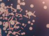 microbe
