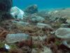 PE_Ocean_Waste (2)
