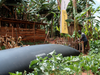 PE_Aran_ HomeBiogas