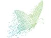 TerraCode-Icon-Bfly-NO-TEXT2.jpg
