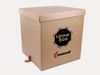 PE_Mondi_TankerBox