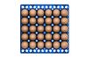 EggsCargo_270617.jpg