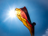 PE_German_Flag (2)