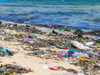 PE_Waste_on_Beach (3)