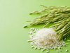 PE_Rice_Bran_Wax