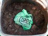 The camera looks down into an open compost bin. On top of the compost sits a light green plastic bag, tied at the top,…