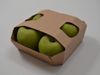 PE_Cartonboard_Apples