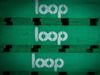 LOOP Pallets