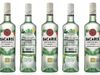 bacardi (002).jpg