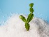 PE_Bioplastic (3)